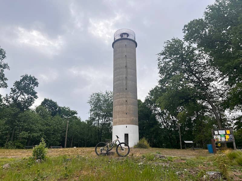 Trail Head for Governor Dick - Image 2
