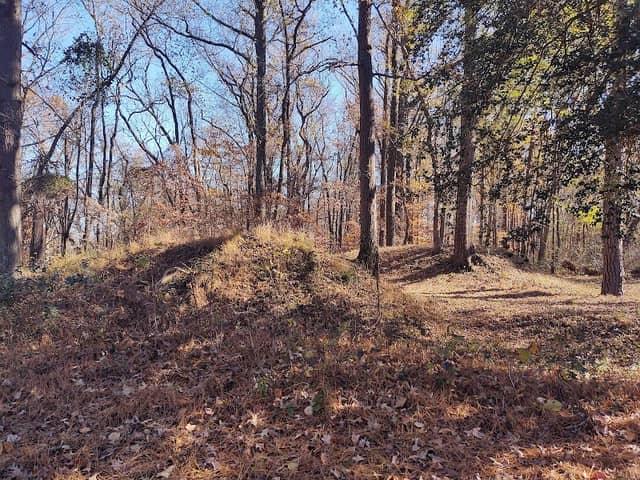Chickahominy Bluff - Image 2
