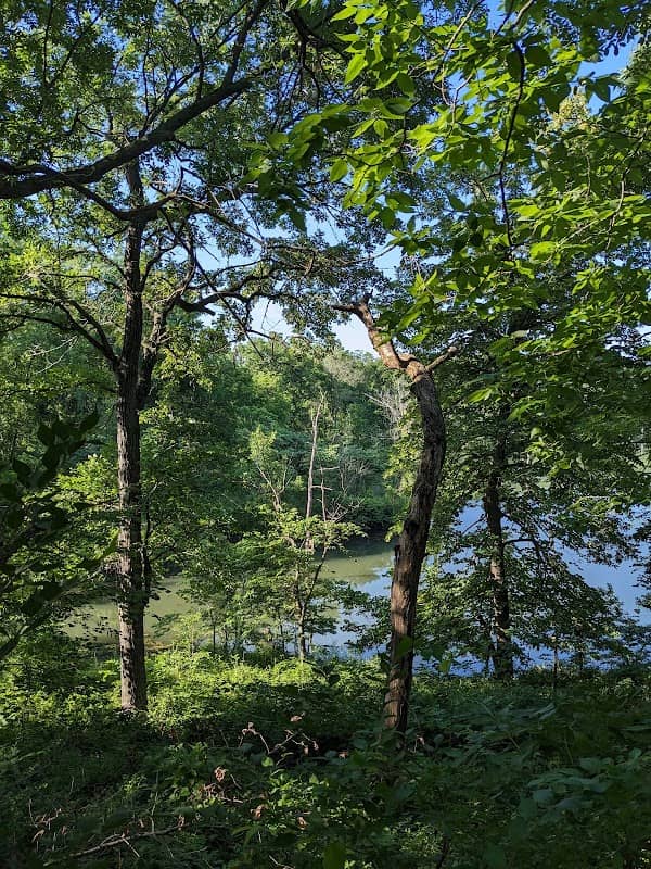 Blue Springs Lake Loop Trailhead - Image 1