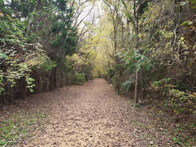 Rowlett Nature Trail - Image 2