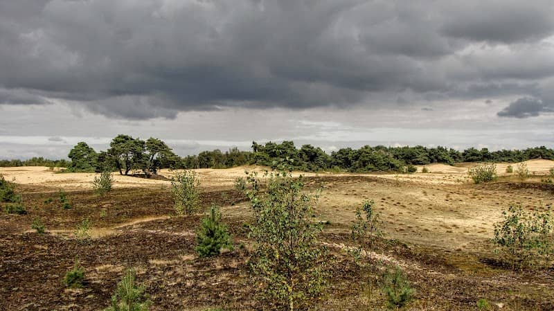 Bergerheide - Image 1