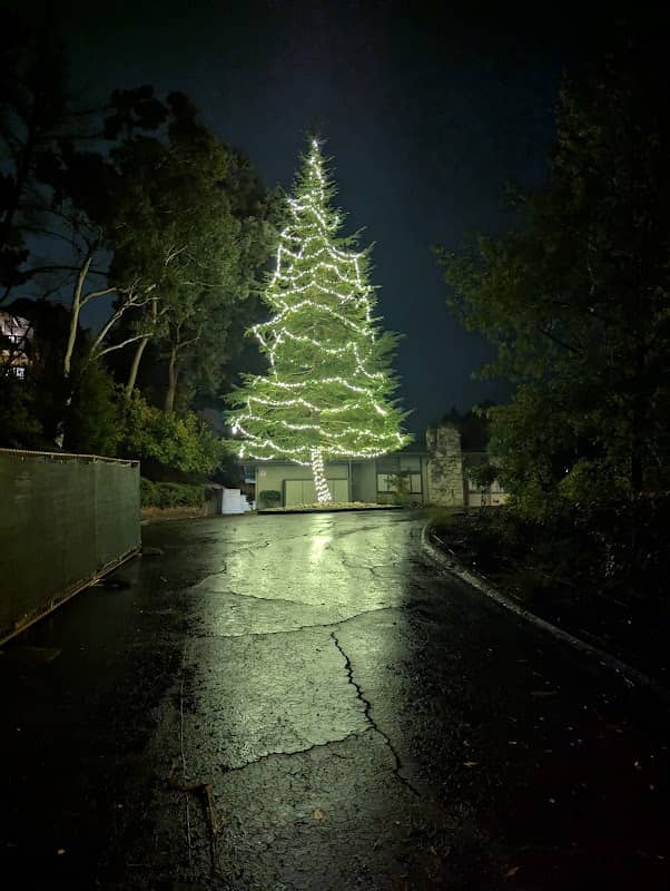 Ashwood Christmas Tree - Image 1