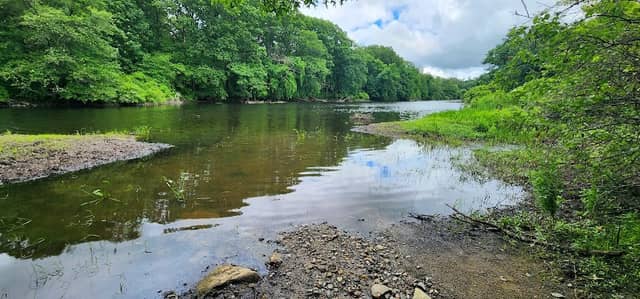 Quinebaug River National Recreation Water Trail - Image 1