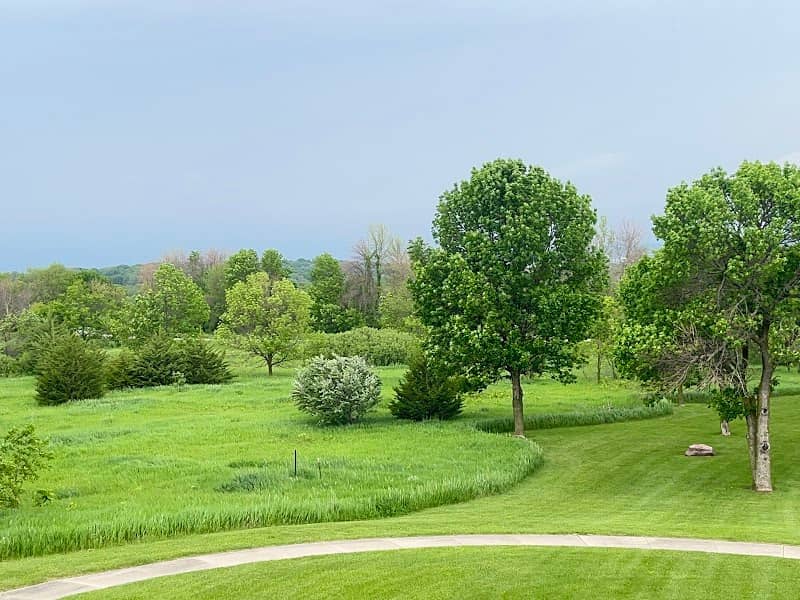 Honey Creek - Image 1