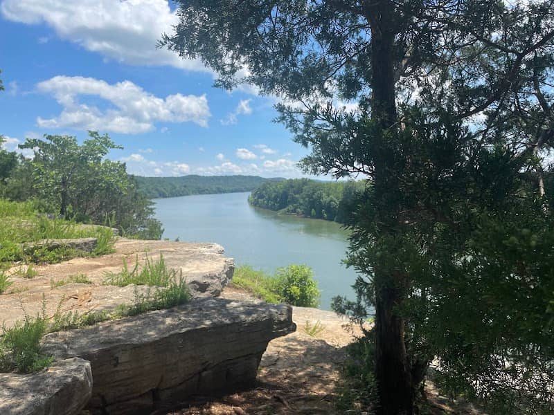Lady's Bluff Small Wild Area - Image 1