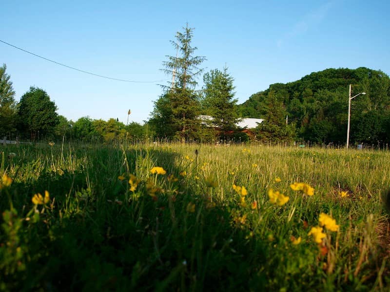 Mohawk To Fort Herkimer Bike Path - Image 2