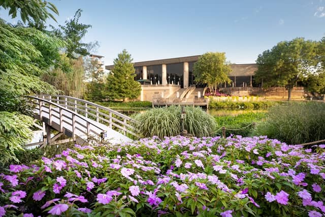 Creation Museum - Image 2