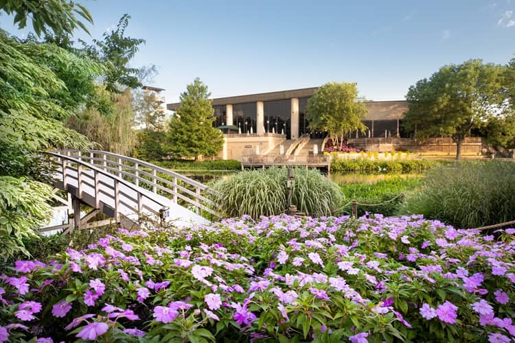 Creation Museum - Image 2