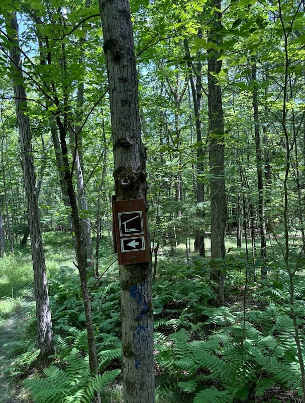 Finger Lakes Trail- Kanakadea Lean-to(NEW) - Image 2