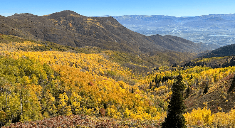 Wow Trail - Image 2