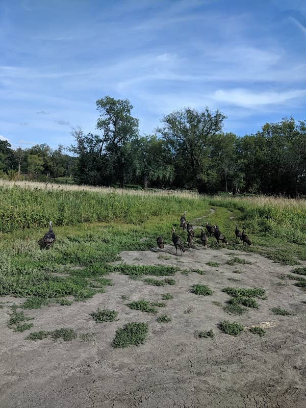 Wildflower Grove Park - Image 2