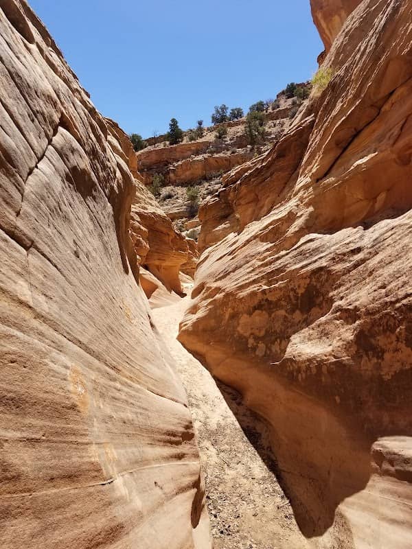 Burro Wash Slot Canyon - Image 1