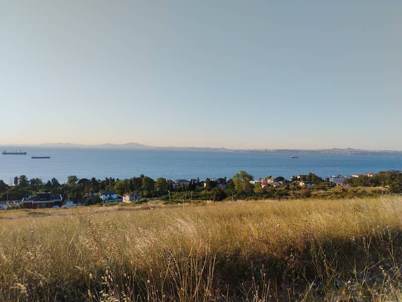 Suhair lookout - Image 1