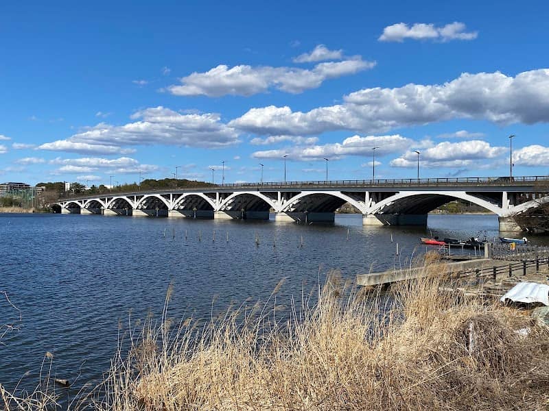 Tega Bridge - Image 1