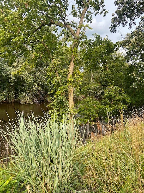 River Bend Family Picnic Area - Image 1