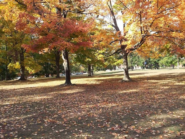 Morrow Park - Image 3