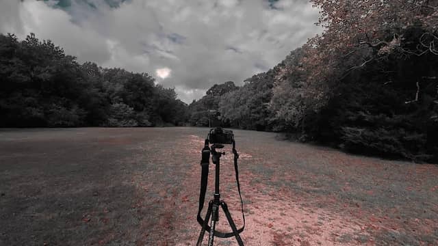 SJI Park - Image 1