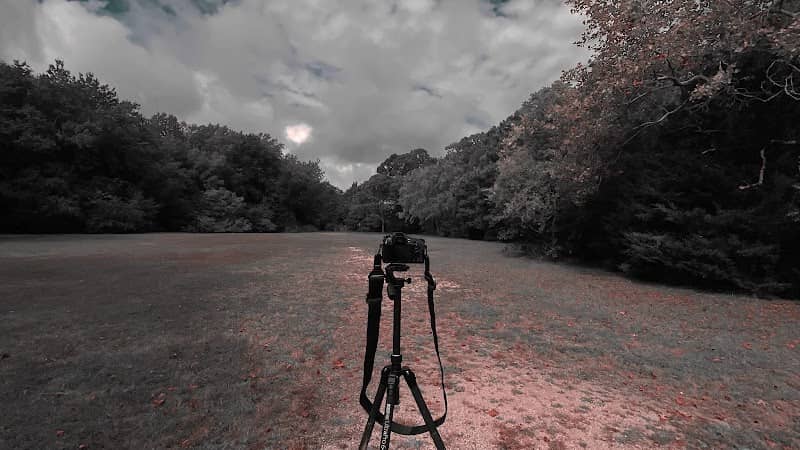 SJI Park - Image 1