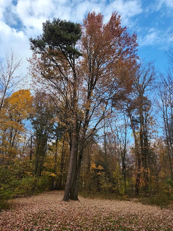 Clarence Darrow Metropark - Image 2