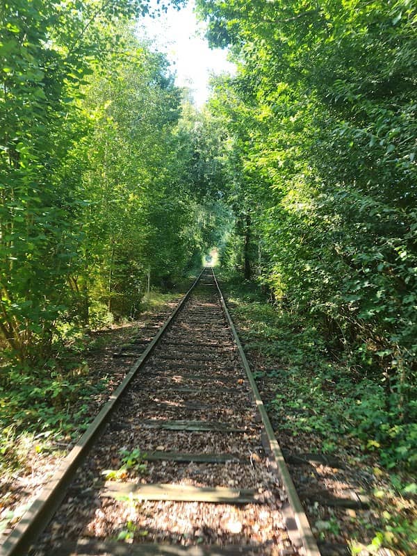 Draisinenspaß Ammerland - Image 1