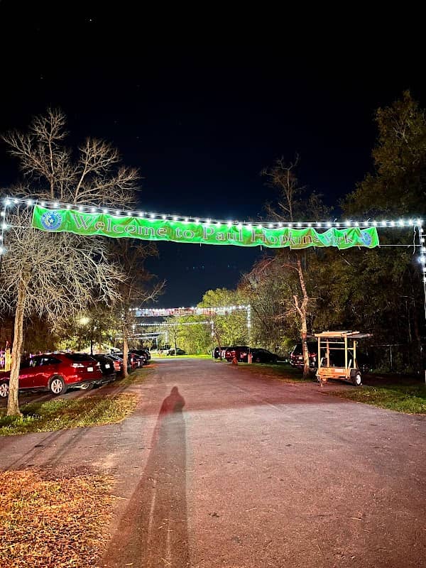 Dickinson Festival of Lights - Image 3