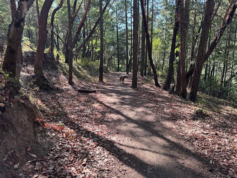 Jacksonville Woodlands Trails - Parking - Image 1