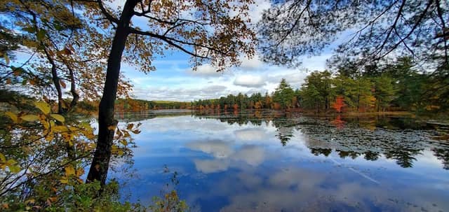 Tillinghast Pond Management Area - Image 1
