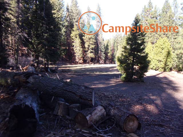 Big Stump - Image 1
