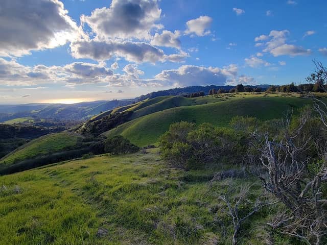 Windy Hill - Image 1