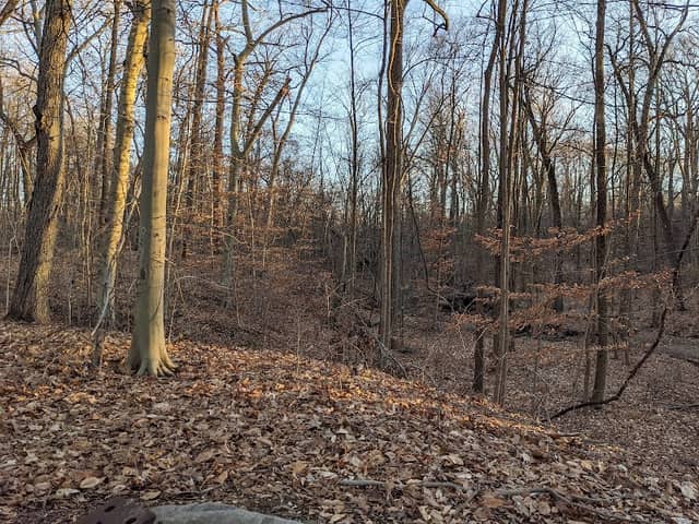 Passaic River Park - Image 1