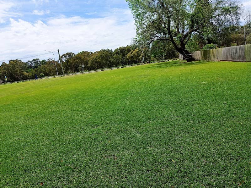 Robin Thomas Reserve - Image 1