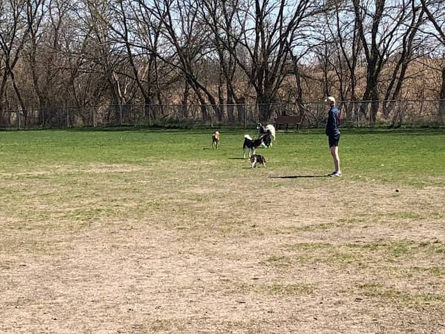 Rita's Ranch Dog Park - Image 1