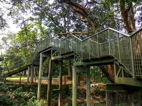 Sky Walk Bungalow Kunnu - Image 1