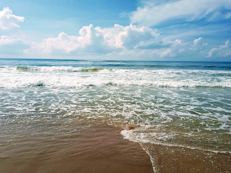 Balukhand - Konark Wildlife Sanctuary - Image 1