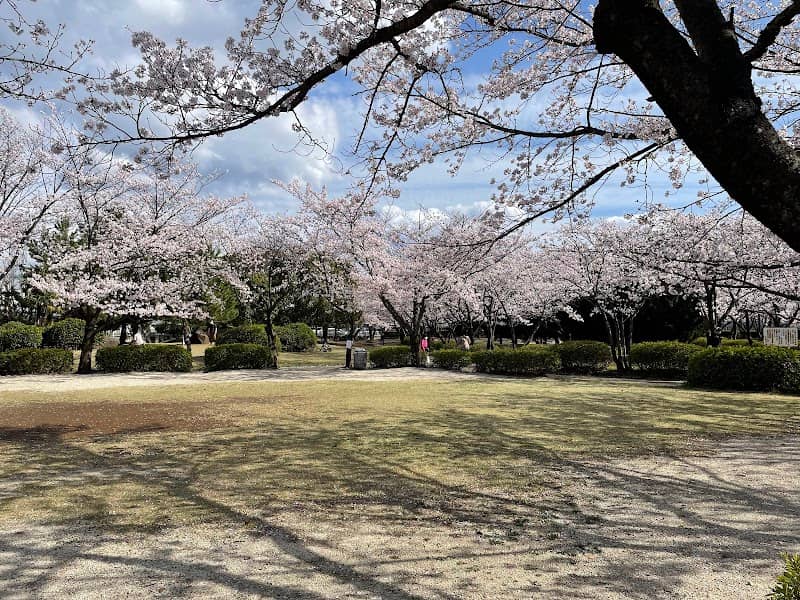 Ichinowari Park - Image 1