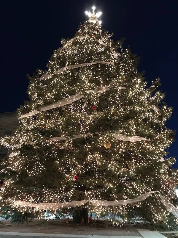 Dorney plaza - Image 1