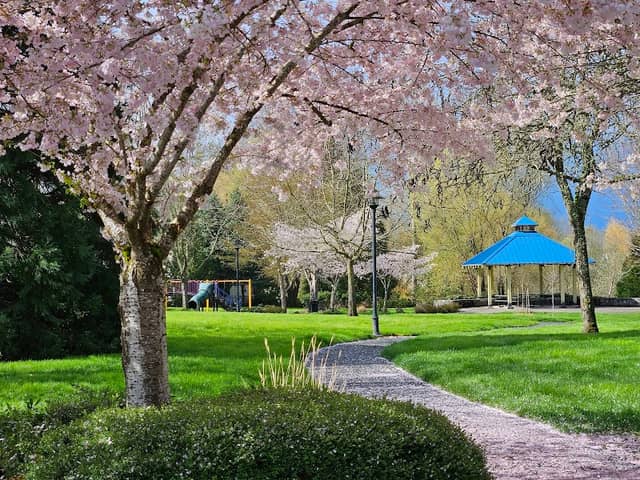 Glencoe Creek Park - Image 1