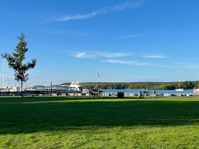 Clark Park - Image 1