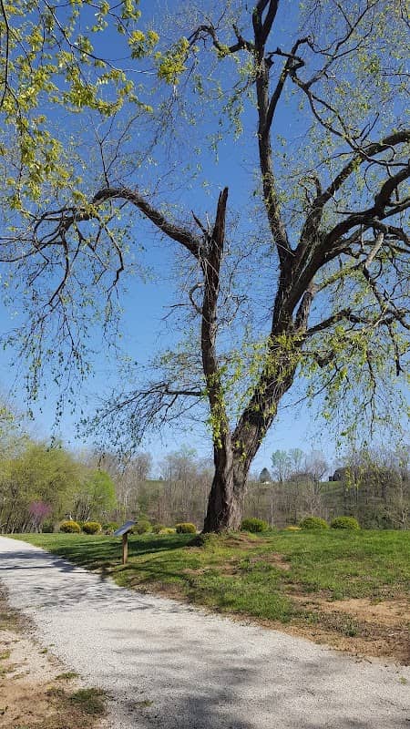 Grayson Walking Trail - Image 1