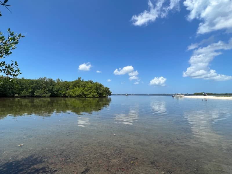 The Picnic Island - Image 1