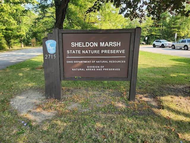 Sheldon Marsh State Nature Preserve - Image 1