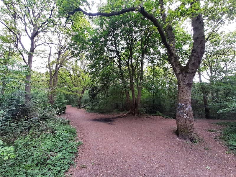 Nevendon Bushes - Image 1