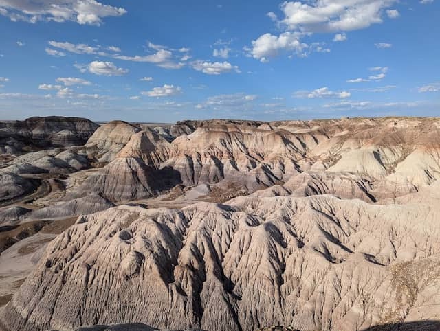 Petrified Forest National Park - Image 2