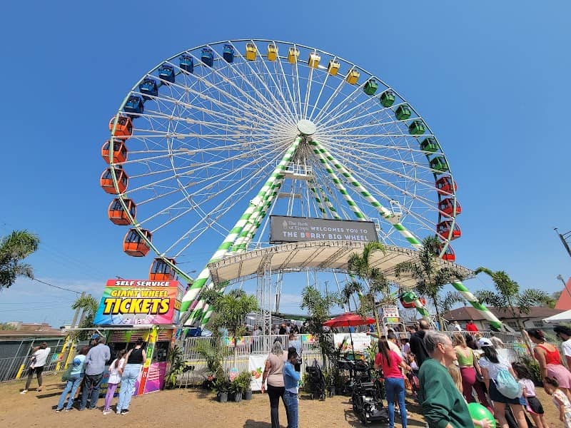 Florida strawberry festival - Image 3