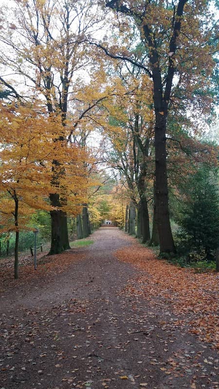 Wittenhorstbruggetje - Image 1