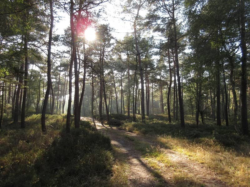 Reeënberg | Natuurmonumenten - Image 1