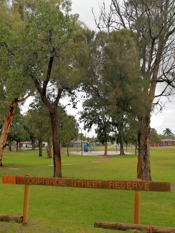 Ospringe Street Reserve - Image 3