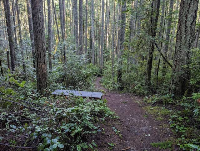Grand Forest East Entrance - Image 2