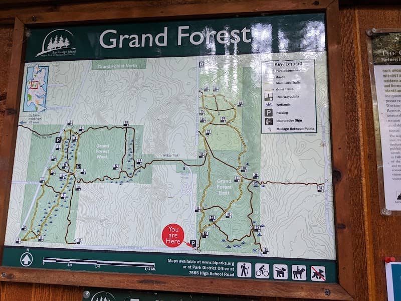 Grand Forest East Entrance - Image 1