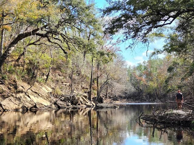 Upper Alapaha Conservation Area - Image 2